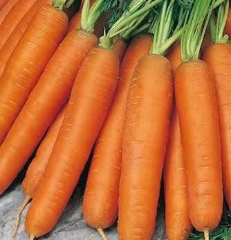 Carrot