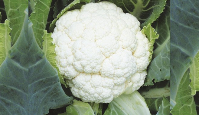Cauliflower