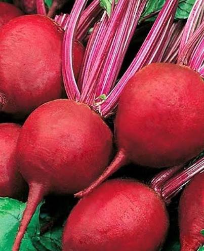 Beetroot